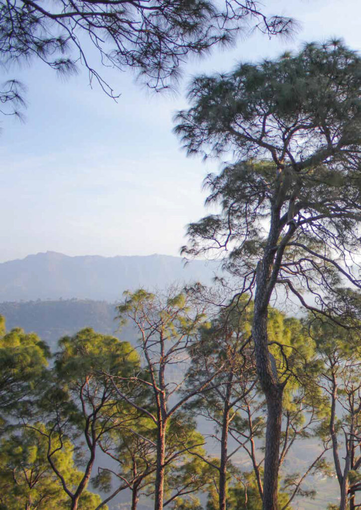KL02142-The-Valley-Gardens-Brochure-v18-4