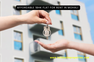 Affordable 1BHK Flat for Rent in Mohali