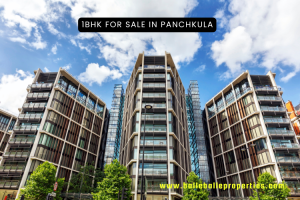 1BHK for Sale in Panchkula