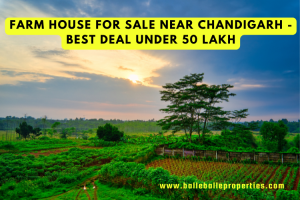 Farm house for sale near Chandigarh