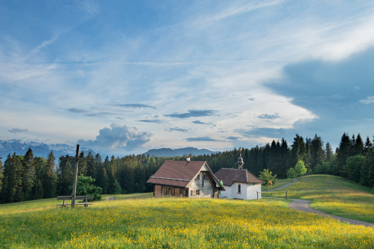 Farm House For Sale in Chandigarh