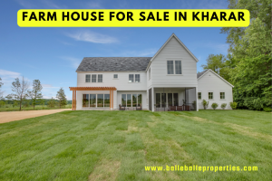 Farm House for Sale in Kharar